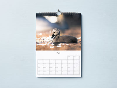 Wildlife calendar 2023