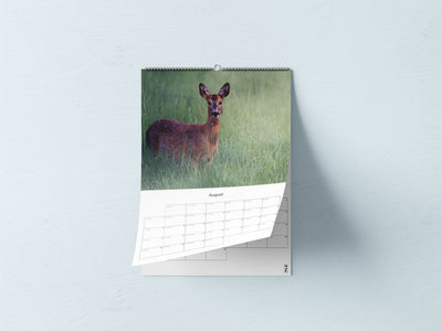 Wildlife calendar 2023
