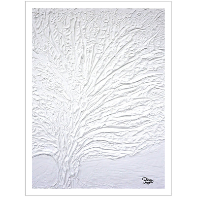 White oak tree - Winter Edition