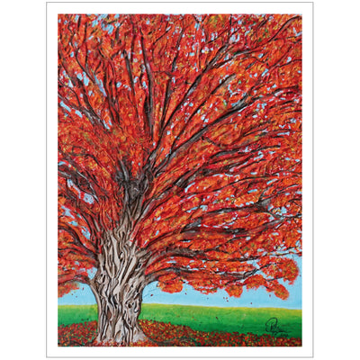White oak tree - Autumn Edition